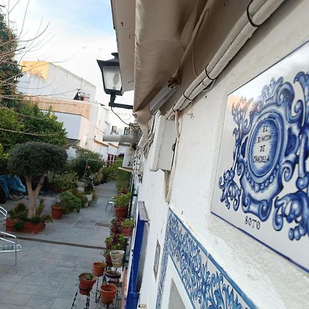 Tipico Y Pintoresco Patio De Vecinos, Con Encanto Севилья Экстерьер фото