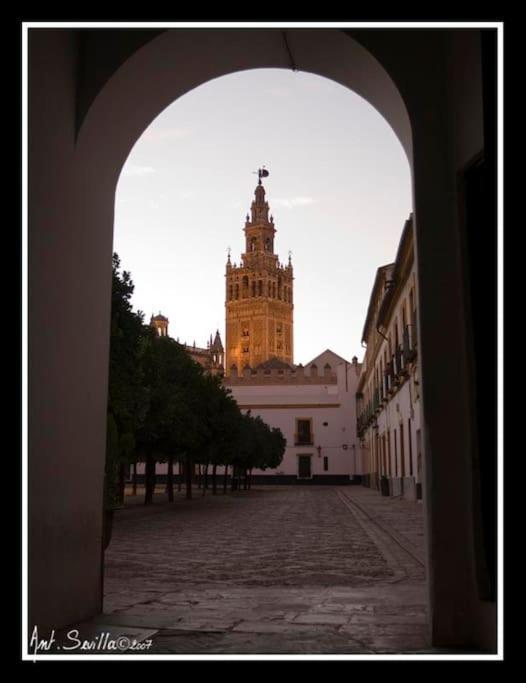 Tipico Y Pintoresco Patio De Vecinos, Con Encanto Севилья Экстерьер фото