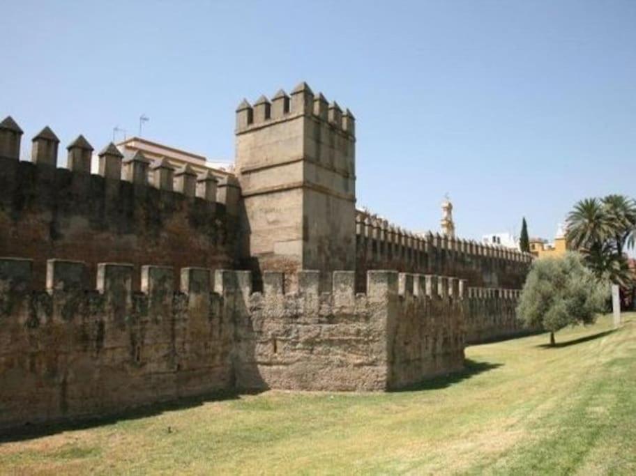 Tipico Y Pintoresco Patio De Vecinos, Con Encanto Севилья Экстерьер фото