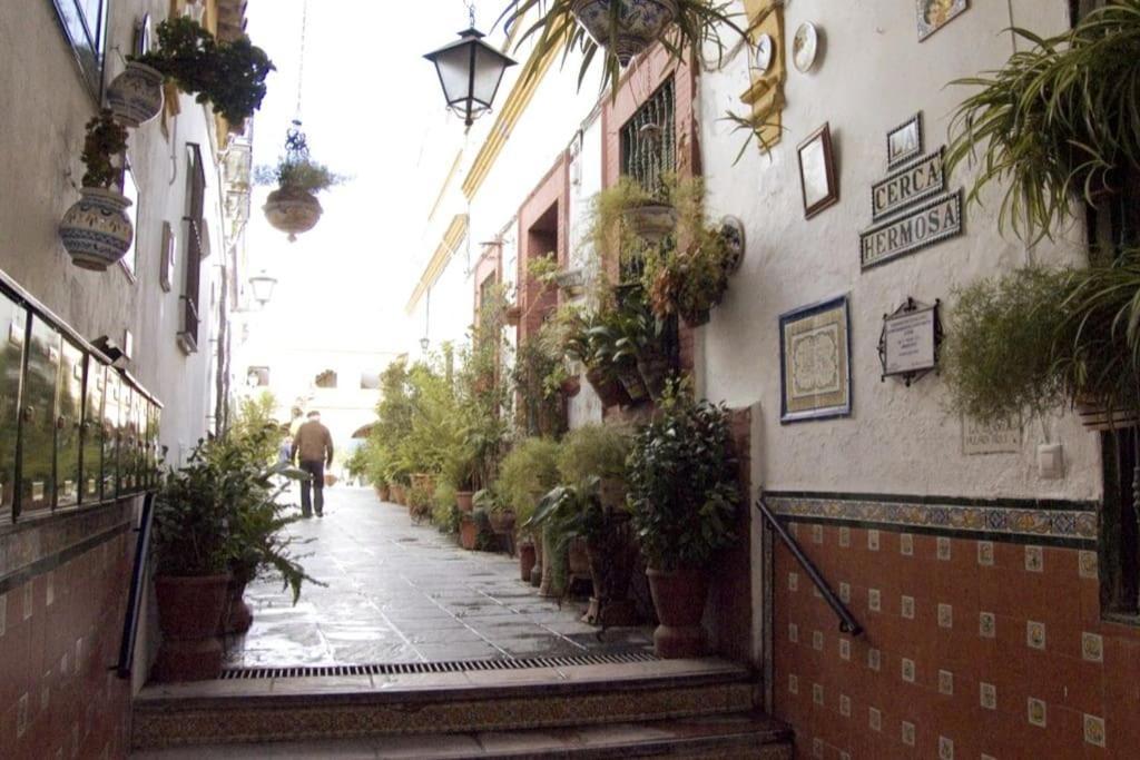 Tipico Y Pintoresco Patio De Vecinos, Con Encanto Севилья Экстерьер фото