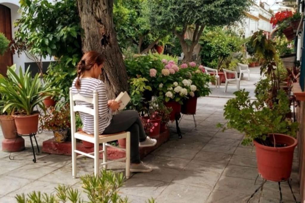 Tipico Y Pintoresco Patio De Vecinos, Con Encanto Севилья Экстерьер фото