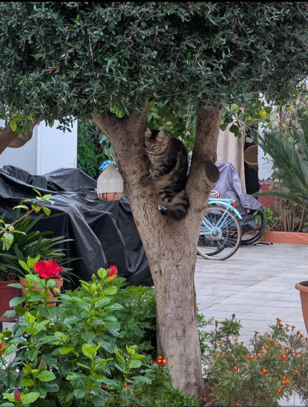 Tipico Y Pintoresco Patio De Vecinos, Con Encanto Севилья Экстерьер фото